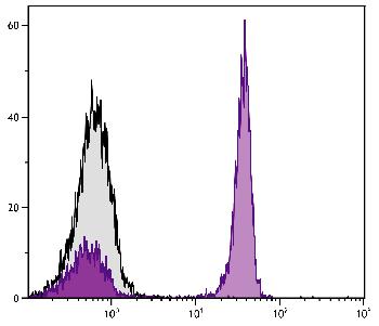 Mouse Anti-Chicken CD4-PE