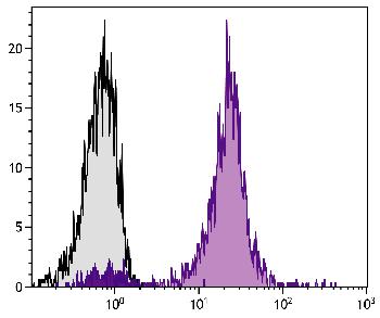 Mouse Anti-Chicken CD45-Biotin Conjugated