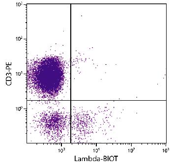 Mouse Anti-Chicken Lambda-Biotin Conjugated