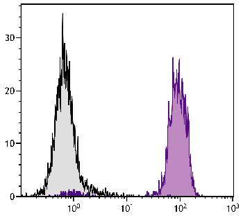 Mouse Anti-Chicken MHC Class I-Biotin Conjugated