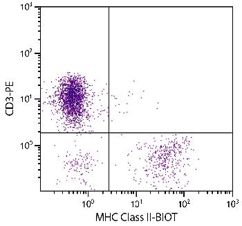 Mouse Anti-Chicken MHC Class II-Biotin Conjugated