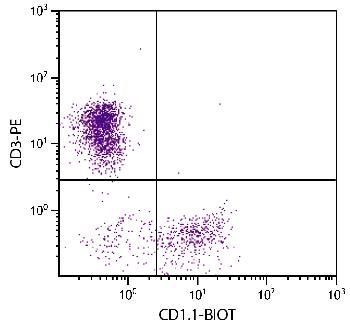 Mouse Anti-Chicken CD1.1-Biotin Conjugated