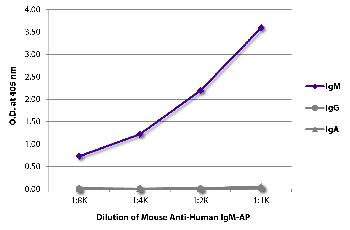 Mouse Anti-Human IgM-AP