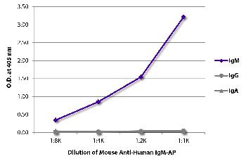 Mouse Anti-Human IgM-AP