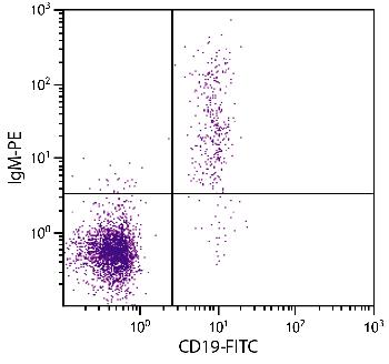 Mouse Anti-Human IgM-PE