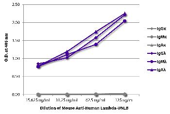 Mouse Anti-Human Lambda