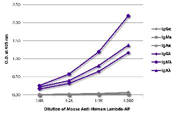 Mouse Anti-Human Lambda-AP