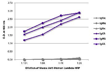 Mouse Anti-Human Lambda-HRP Conjugated