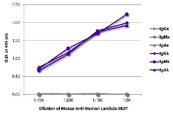 Mouse Anti-Human Lambda-Biotin Conjugated