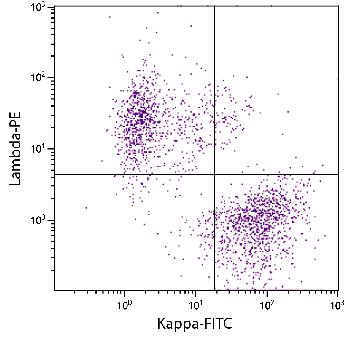 Mouse Anti-Human Lambda-PE