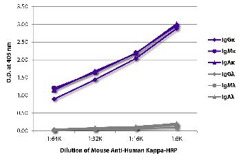 Mouse Anti-Human Kappa-HRP Conjugated