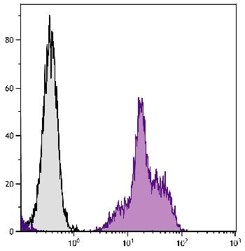 Mouse Anti-Human CD11a-Biotin Conjugated