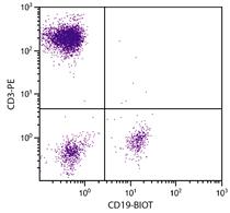 Mouse Anti-Human CD19-Biotin Conjugated