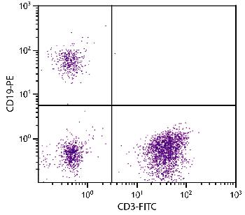 Mouse Anti-Human CD19-PE