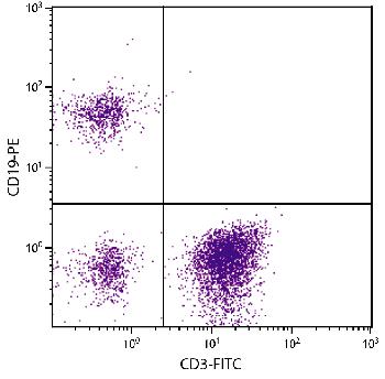 Mouse F(ab’)2 Anti-Human CD19-PE