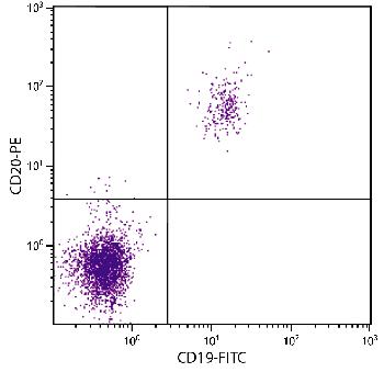 Mouse Anti-Human CD20-PE