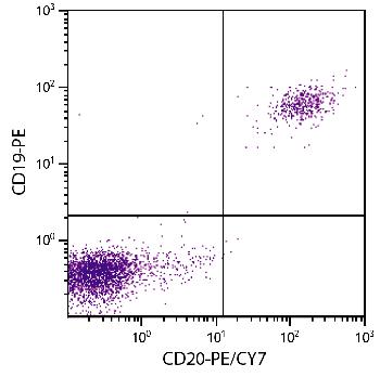 Mouse Anti-Human CD20-PE/CY7