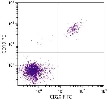 Mouse F(ab’)2 Anti-Human CD20-FITC