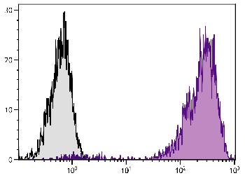 Mouse Anti-Human CD44-PE