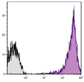 Mouse Anti-Human CD44-PE/CY7