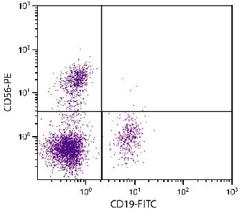 Mouse Anti-Human CD56-PE