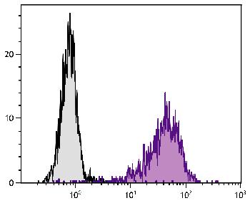 Mouse Anti-Human CD106-PE