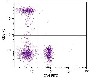 Mouse Anti-Human CD8-PE