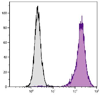 Mouse Anti-Human CD11b-PE