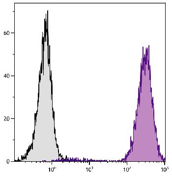 Mouse Anti-Human CD15-PE