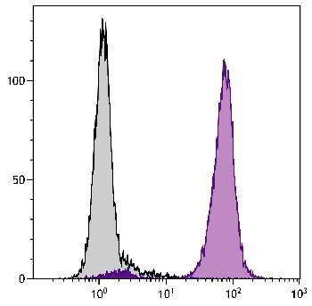 Mouse Anti-Human CD16-PE