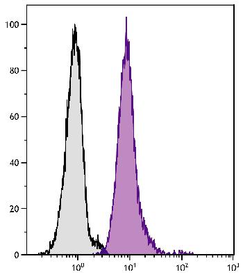 Mouse Anti-Human CD33-PE