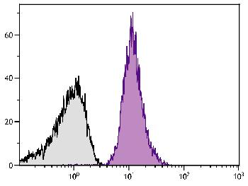 Mouse Anti-Human CD42b-PE