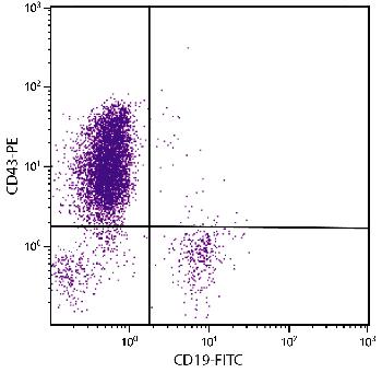 Mouse Anti-Human CD43-PE