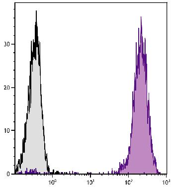 Mouse Anti-Human CD45-PE