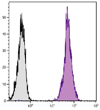 Mouse Anti-Human CD45-PE