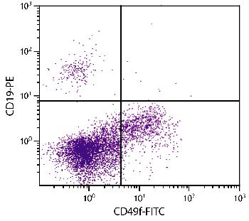 Mouse Anti-Human CD49f-FITC