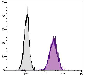 Mouse Anti-Human CD51-PE