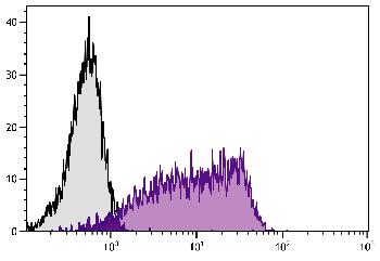 Mouse Anti-Human CD55-PE