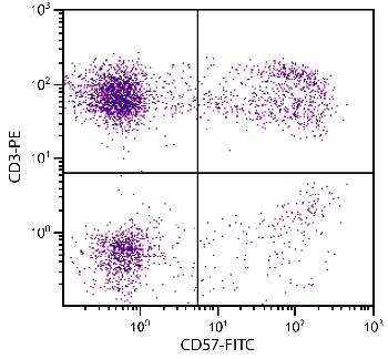 Mouse Anti-Human CD57-FITC