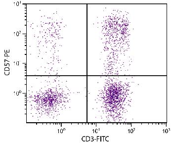 Mouse Anti-Human CD57-PE