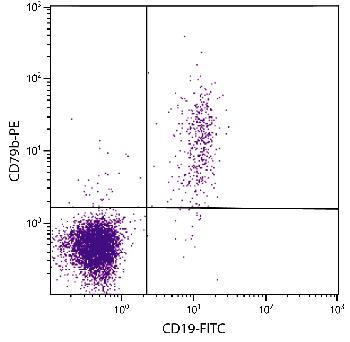 Mouse Anti-Human CD79b-PE