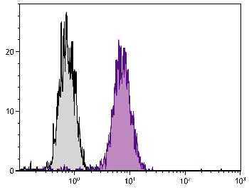 Mouse Anti-Human CD107b-FITC