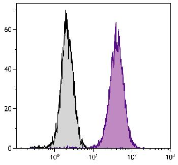 Mouse Anti-Human CD107b-PE