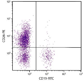 Mouse Anti-Human CD26-PE