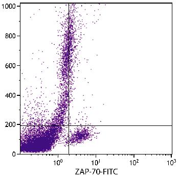Mouse Anti-Human ZAP-70-FITC