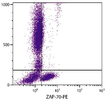Mouse Anti-Human ZAP-70-PE