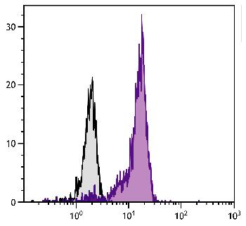 Mouse Anti-Human Fas Ligand-FITC