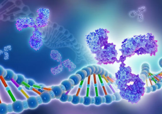 mTIE-2 Fc Recombinant Protein