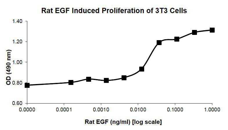 Rat Epidermal Growth Factor