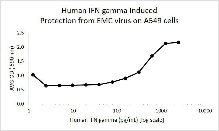 Human Interferon-gamma (AF)